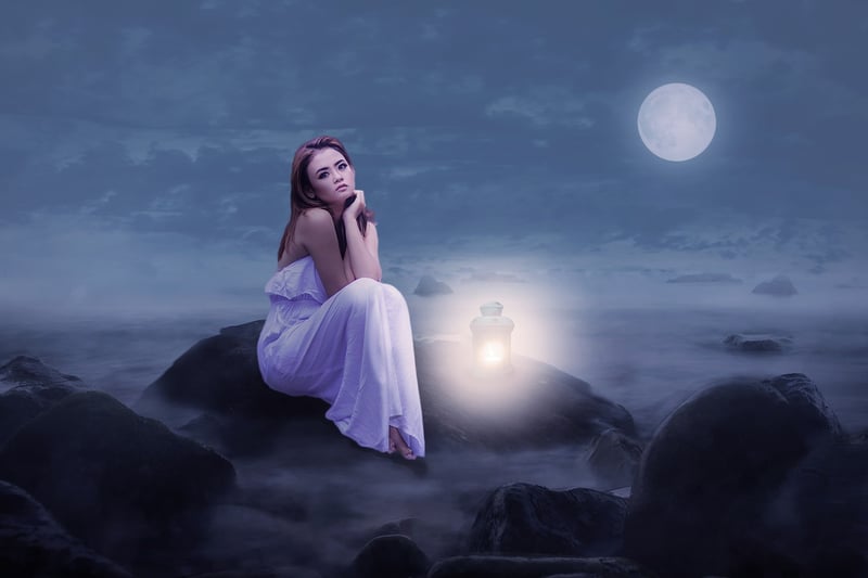 Moonlit Serenade